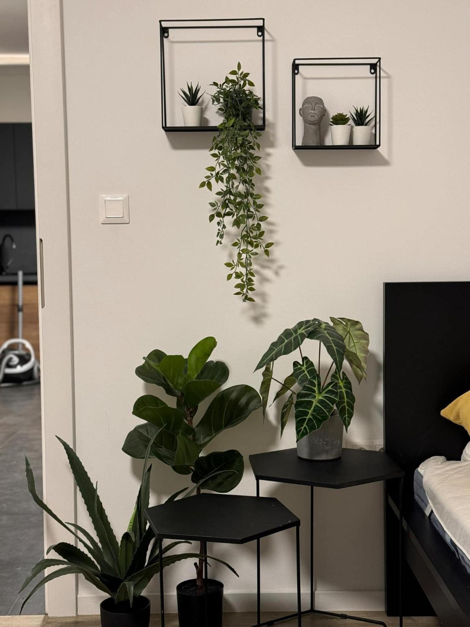 Apartmány Elli Myto pod Dumbierom Exterior foto